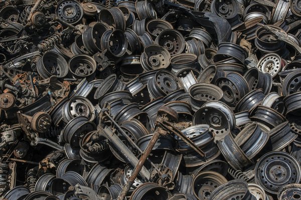 Come possono le tecnologie di machine learning aiutare nella conservazione e catalogazione delle specie in via di estinzione?